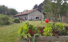 Apartamentos Iparagirre